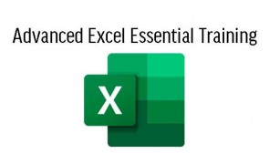 Advanced Excel Essential Training